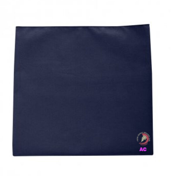 YDSC Bath Towel (2 colours) Thumbnail